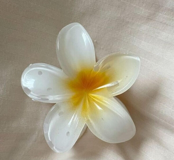 pince hibiscus blanc jaune
