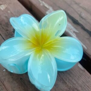 pince hibiscus bleu jaune