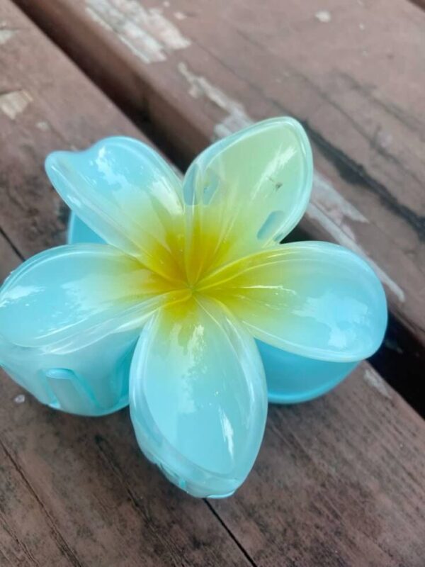 pince hibiscus bleu jaune