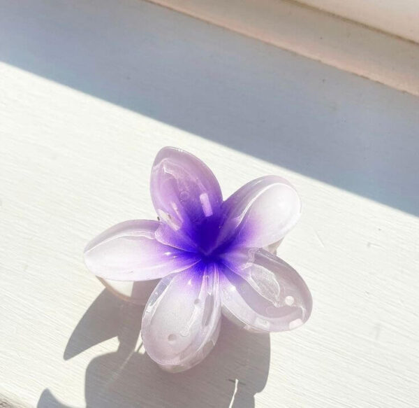 pince hibiscus blanc blue