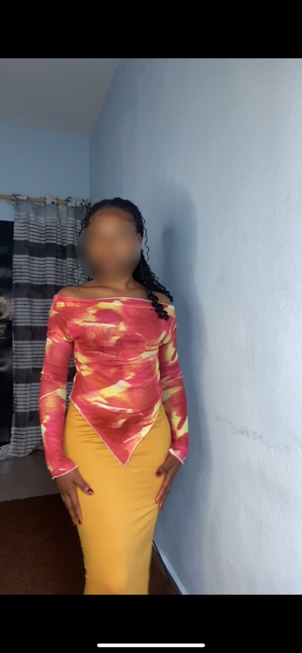 ensemble mesh