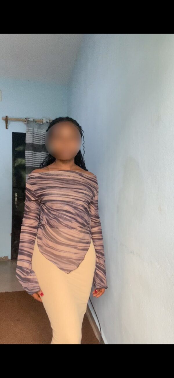 ensemble mesh