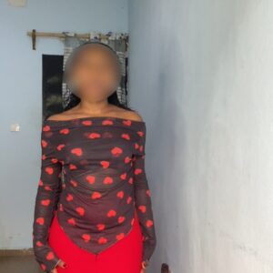 ensemble mesh