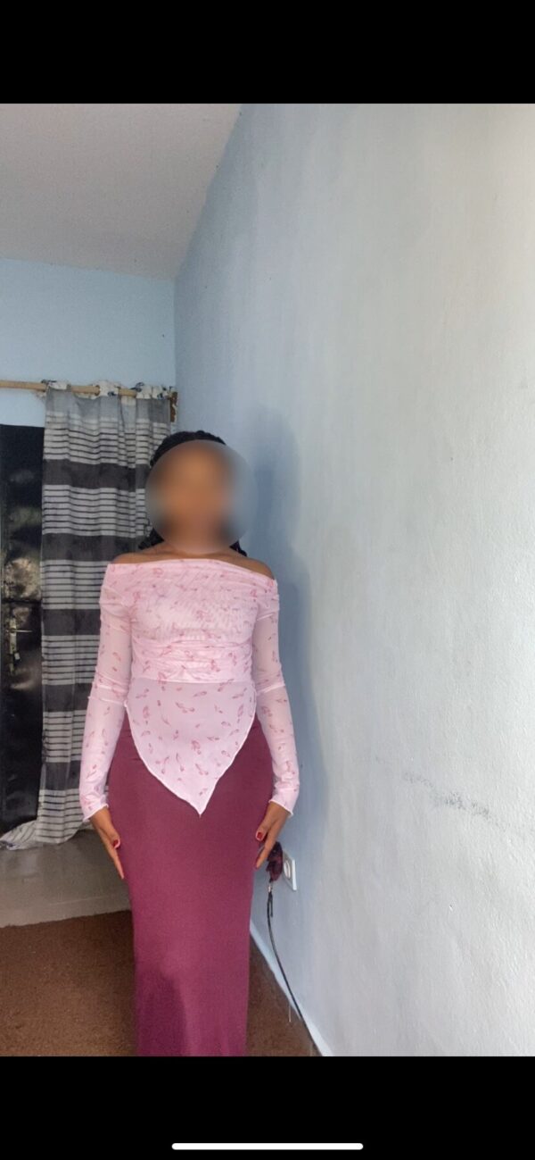 ensemble mesh