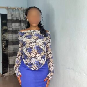 ensemble mesh