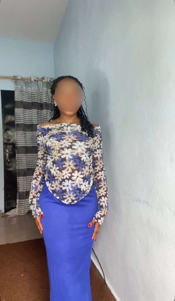 ensemble mesh