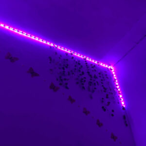 img 8