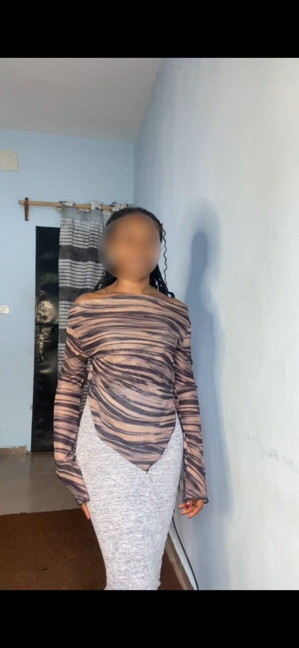 ensemble mesh
