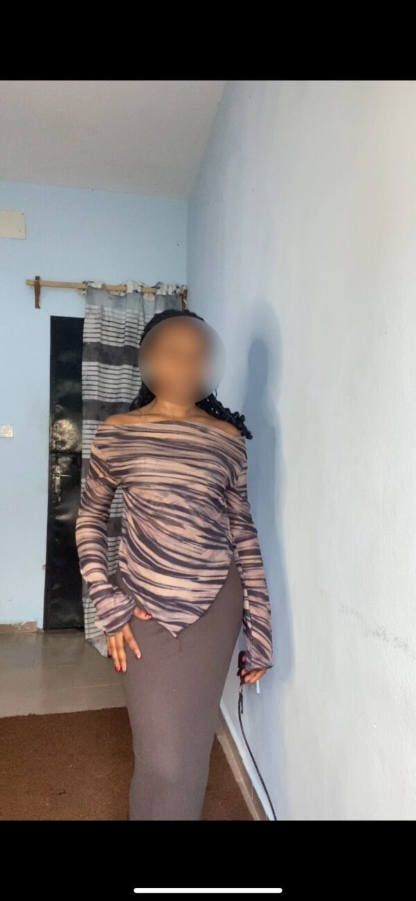 ensemble mesh